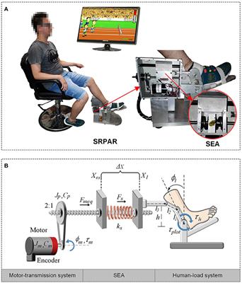 Impedance Control for Robotic Rehabilitation: A Robust Markovian Approach